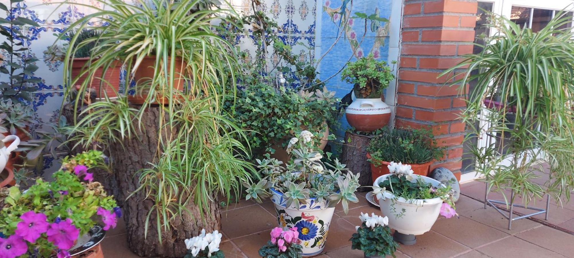 Habitacion,Piscina Y Jardin Azuqueca de Henares Eksteriør billede